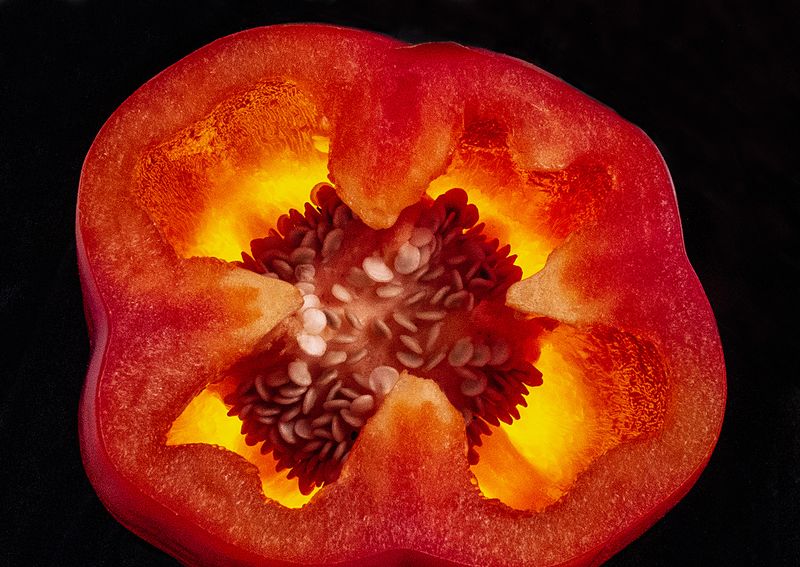 Red-Pepper---Backlit-2
