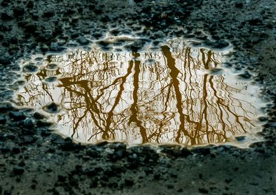 Roadwater-Reflections---17