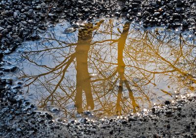 Roadwater-Reflections---23