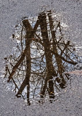 Roadwater-Reflections---10