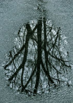 Roadwater-Reflections---7