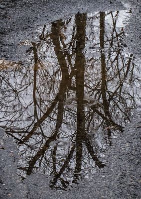 Road-Water-Refections---4