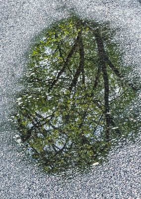 Roadwater-Reflections---20