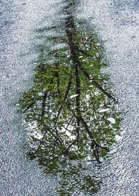 Roadwater-Reflections---19