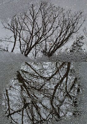 Roadwater-Reflections-x-2