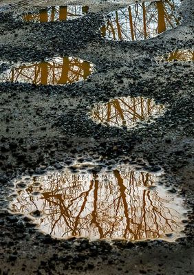Roadwater-Reflections-x-2