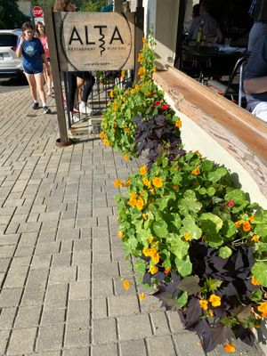 IMG_8850.jpeg