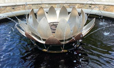 IMG_8699.jpeg