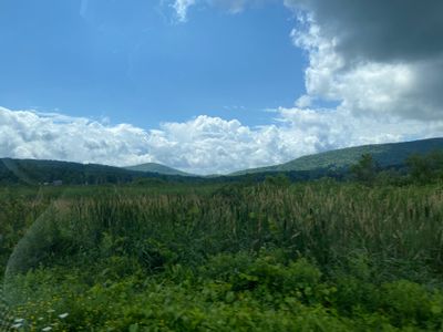 IMG_7575.jpeg