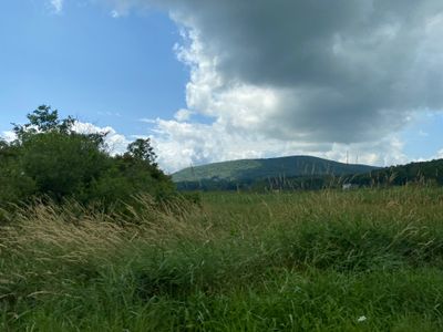 IMG_7576.jpeg