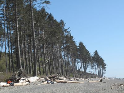 IMG_4139.jpg