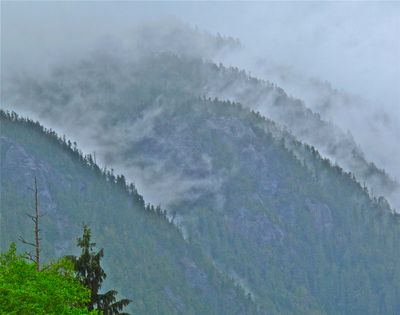 IMG_5730.jpg
