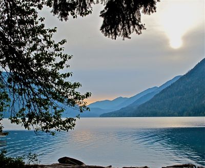IMG_4589.jpg