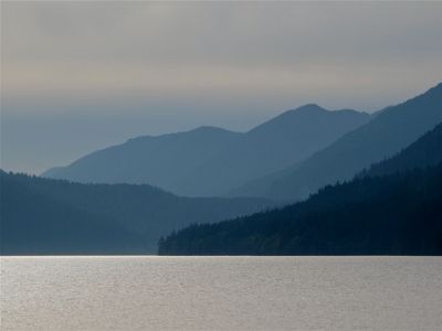 IMG_4533.jpg