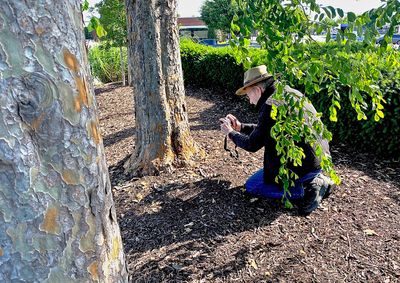 W-photographing-Chinese-Elm-Bark