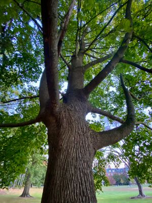IMG_9563.jpeg
