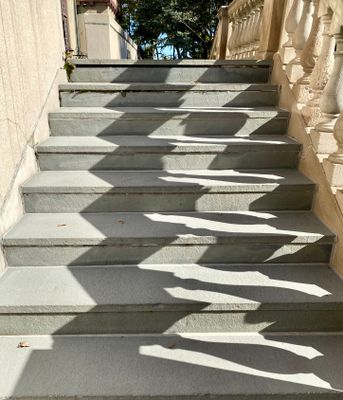 IMG_0294.jpeg
