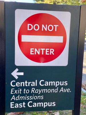 IMG_0544.jpeg