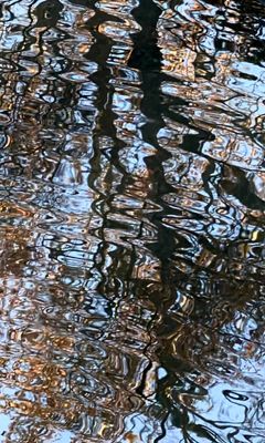 IMG_0668.jpeg