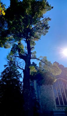 IMG_0432.jpeg