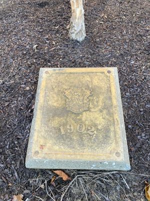 IMG_0560.jpeg