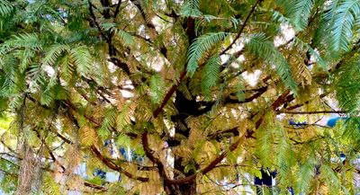 IMG_0616.jpeg