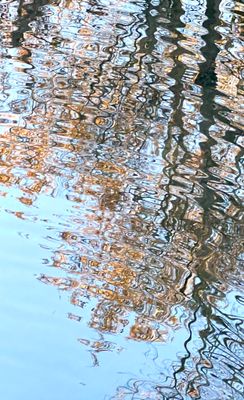 IMG_0668.jpeg