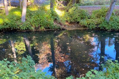 IMG_0782.jpeg