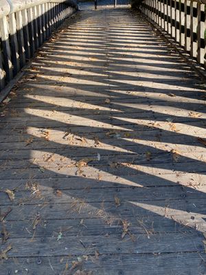 IMG_0813.jpeg