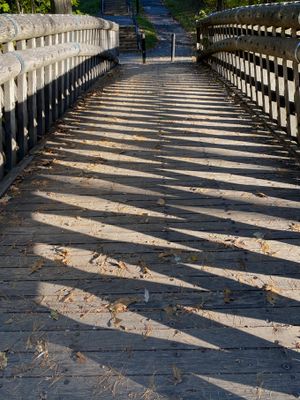 IMG_0812.jpeg