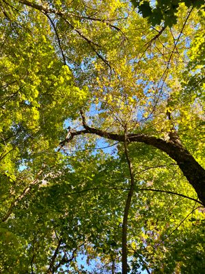 IMG_0834.jpeg