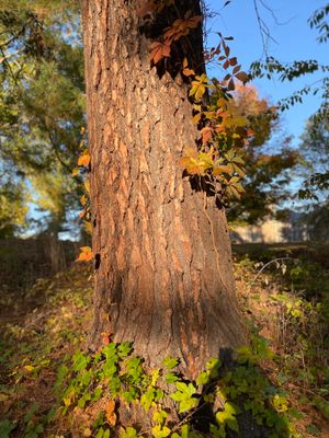IMG_0839.jpeg
