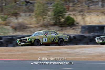 hq_collie_may_2024