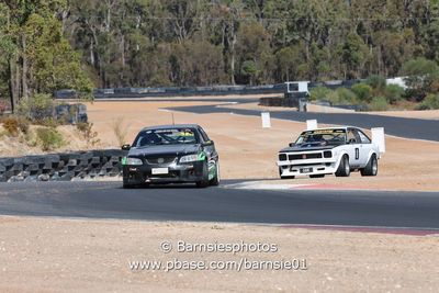 production_collie_24