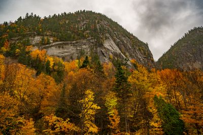 Muted colors on a dreary day at the National Park of the Fjord of Saguenay