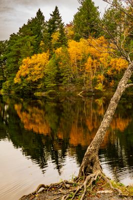 Bowater Park, Corner Brook