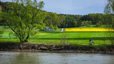 Lots of rapeseed (for canola) in bloom in Bavaria.