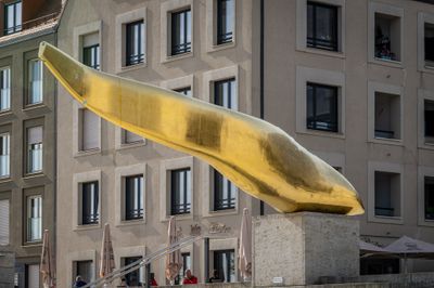 Golden Catfish sculpture in Regensburg.