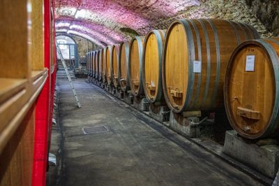 The Davino wine cellar.