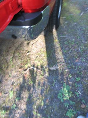 IMG_2080.JPG