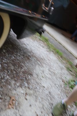 IMG_6516.JPG