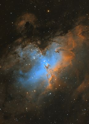 M16_SHO_001_Crop.jpg