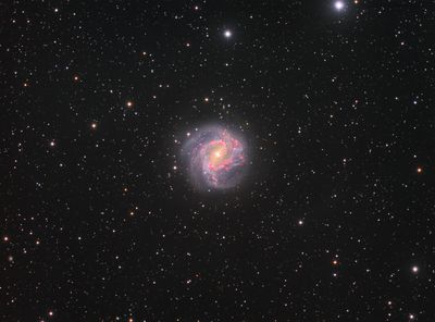 g13/54/1030054/3/173622558.d296eca3.JPEG
