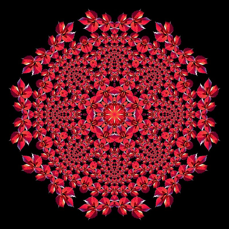 Evolved kaleidoscopic picture created with a leaf seen in October