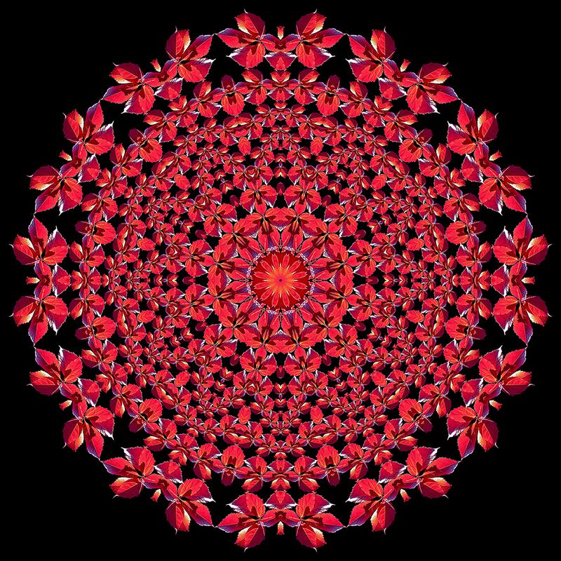 Evolved kaleidoscopic picture created with a leaf seen in October