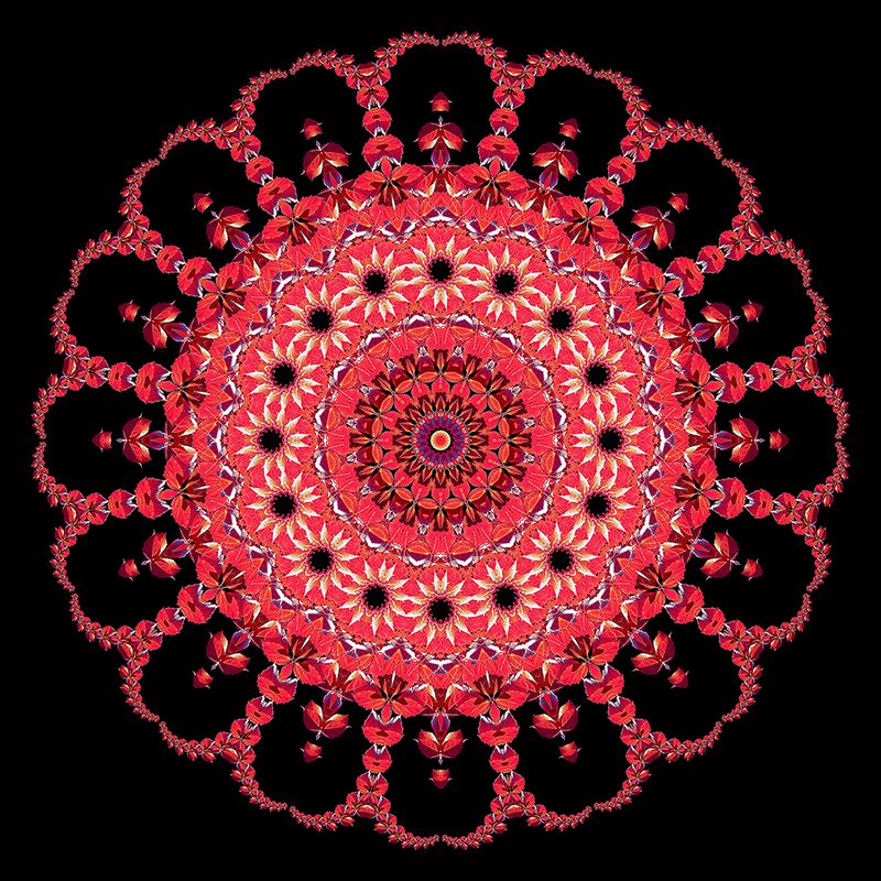 Evolved kaleidoscopic picture created with a leaf seen in October