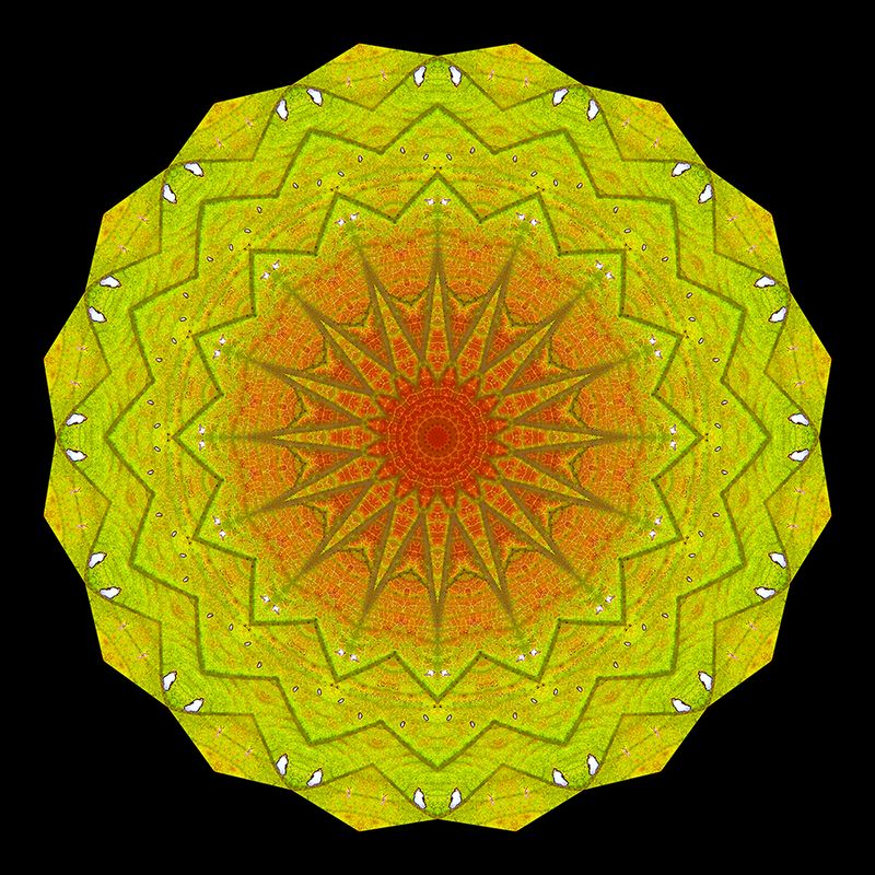 Kaleidoscopic picture created with an autumn leaf seen in November