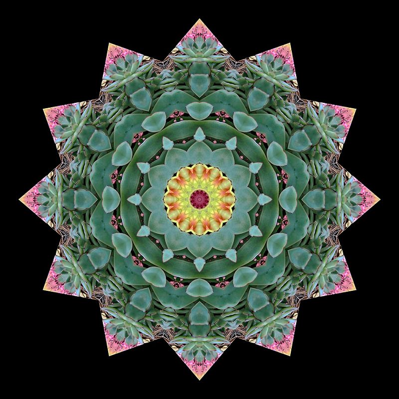 Kaleidoscopic creation done with an arrangement seen in a flower shop