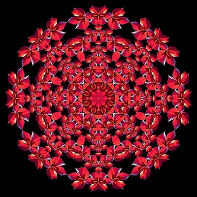 Evolved kaleidoscopic picture created with a leaf seen in October