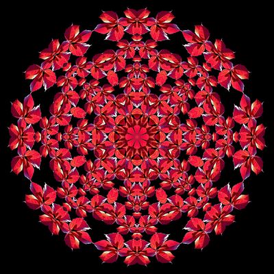 Evolved kaleidoscopic picture created with a leaf seen in October